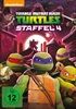 Teenage-MNT-Seas4-1718-DVD-D