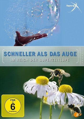 Jetzt bestellen!