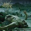 The-Anthropocene-Extinction-11424-Vinyl