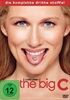 The-Big-C-Staffel-3-DVD-D