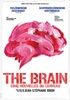 The-Brain-Cinq-Nouvelles-du-Cerveau-DVD-DF-9-DVD-F