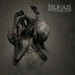 The-Congregation-10th-Anniversary-Edition-22-Vinyl