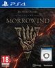 The-Elder-Scrolls-Online-Morrowind-PS4-F