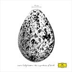 The-Importance-of-Birds-38-Vinyl