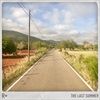 The-Last-Summer-6967-Vinyl