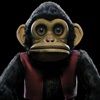 The-Monkey-4-Vinyl
