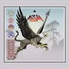 The-Official-Live-Bootlegs-Volume-One-5-CD