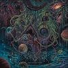 The-Outer-Ones-4272-Vinyl