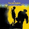 The-Soft-Bulletin-531-Vinyl