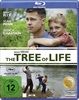 The-Tree-of-Life-5691-Blu-ray-D