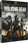 The-Walking-Dead-Saison-8-1445-
