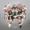 The-Weight-of-Sound-CD-Digipak-13-CD