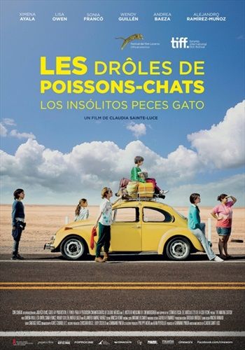 commandez maintenant!