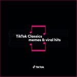 TikTok-Classicsmemesviral-hits-14-CD