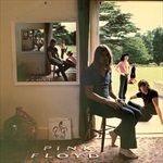 UMMAGUMMA-13896-Vinyl