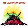 UPRISING-VINYL180GDC-6447-Vinyl
