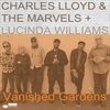 VANISHED-GARDENS-VINYL180GR-2215-Vinyl