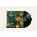 VIOLET-BENT-BACKWARDS-OVER-THE-GRASS-VINYL-5204-Vinyl