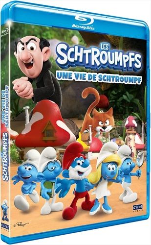 Vie-de-Schtroumpfs-Blu-ray-F