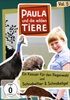 Vol-5Ein-Kasuar-fuer-den-RegenwaldSchnabeltier-11914-DVD