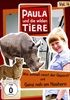Vol4Wie-schnell-rennt-der-GepardGanz-nah-am-Na-11913-DVD