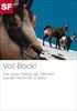 Voll-Bock-1435-DVD-D