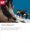 Voll-Bock-1435-DVD-D