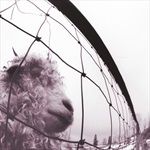 Vs-30th-Anniversary-Edition-30-Vinyl