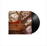 WAITING-TO-SPILL-VINYL-7-Vinyl