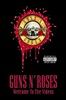 WELCOME-TO-THE-VIDEOS-3208-DVD