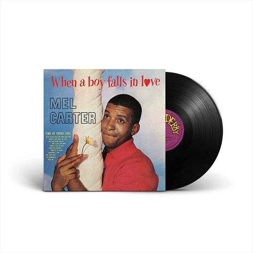 WHEN-A-BOY-FALLS-IN-LOVE-VINYL-29-Vinyl