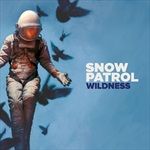 WILDNESS-LP-18-Vinyl