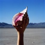 WONDERFUL-WONDERFUL-VINYL180GDC-1665-Vinyl