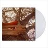 Waiting-to-Spill-Ltd-clear-Vinyl-19-Vinyl