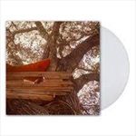Waiting-to-Spill-Ltd-clear-Vinyl-19-Vinyl