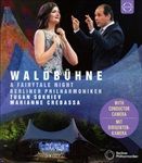 Waldbuehne-2019A-Fairytale-Night-7121-Blu-ray