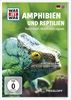 Was-ist-Was-Amphibien-und-Reptilien-7745-DVD-D
