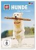 Was-ist-Was-Hunde-7764-DVD-D