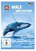 Was-ist-Was-Wale-und-Delphine-7738-DVD-D