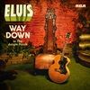 Way-Down-in-the-Jungle-Room-14482-CD