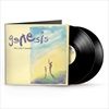 We-Cant-Dance2018-Remaster-21-Vinyl