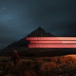 What-Could-Possibly-Go-Wrong-337-Vinyl