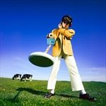 What-Happened-to-the-Beach-Standard-CD-17-CD