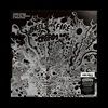 Wheels-of-Fire-Live-at-The-FillImore-Winterland-Ltd-Edt-47-Vinyl