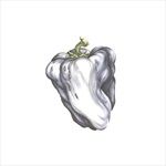 White-Pepper-49-Vinyl