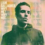 Why-Me-Why-Not-6111-Vinyl