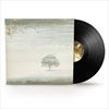 Wind-Wuthering-26-Vinyl