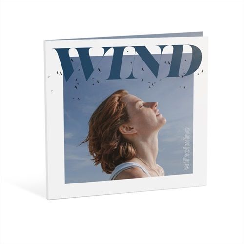 WindLtdMarbled-Vinyl-195-Vinyl