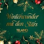 Winterwunder-mit-den-Stars-10-CD
