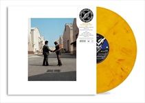 Wish-You-Were-Herecoloured-vinyl-17-Vinyl